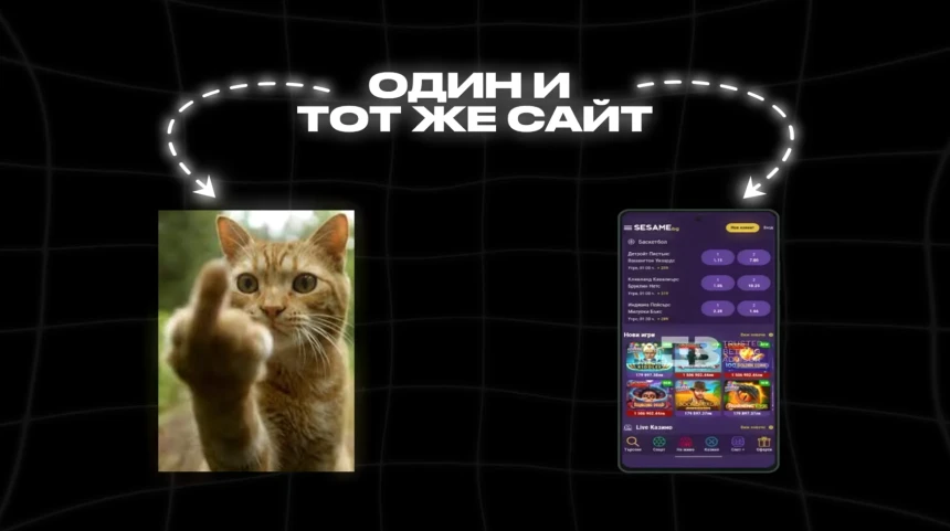1759518008.webp